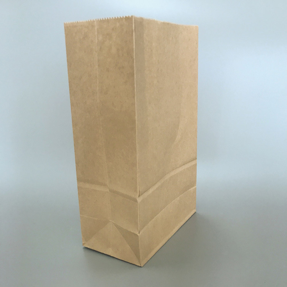 100 قطعة من أكياس الورق الكراف - مراجعة Food Snacks Packaging وسعره